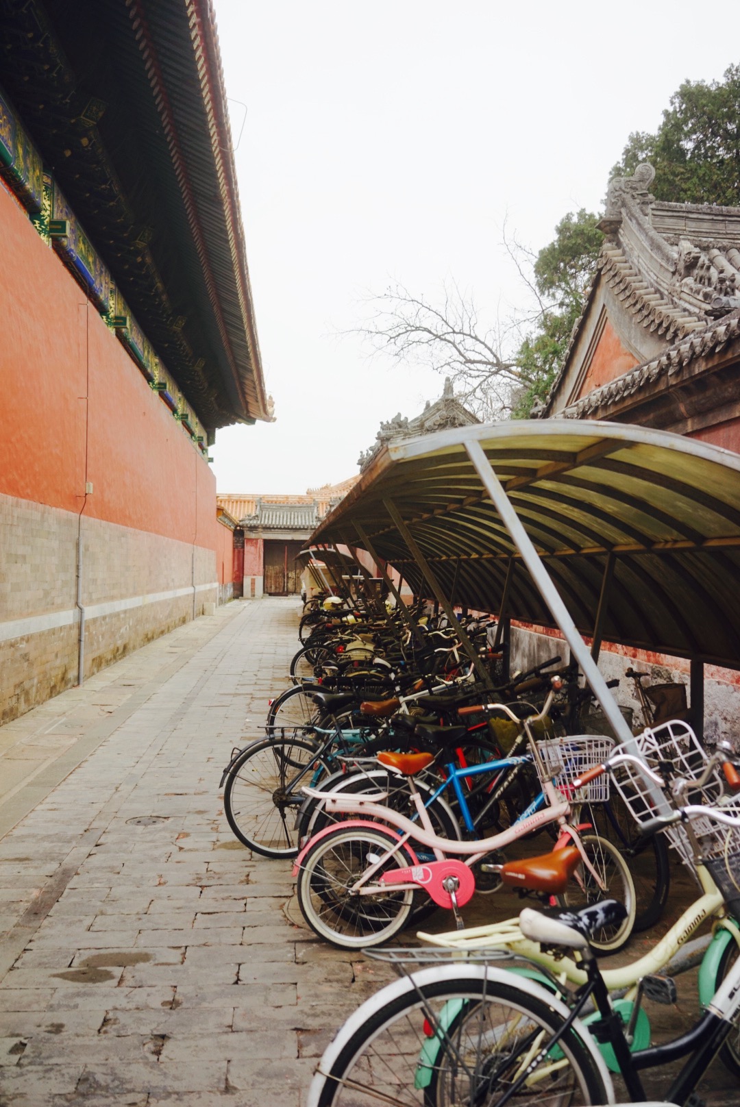 故宫摹印传,故宫摹印传人