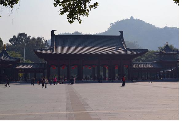 东莞周末好去处植物园,东莞适合聚餐游玩的地方