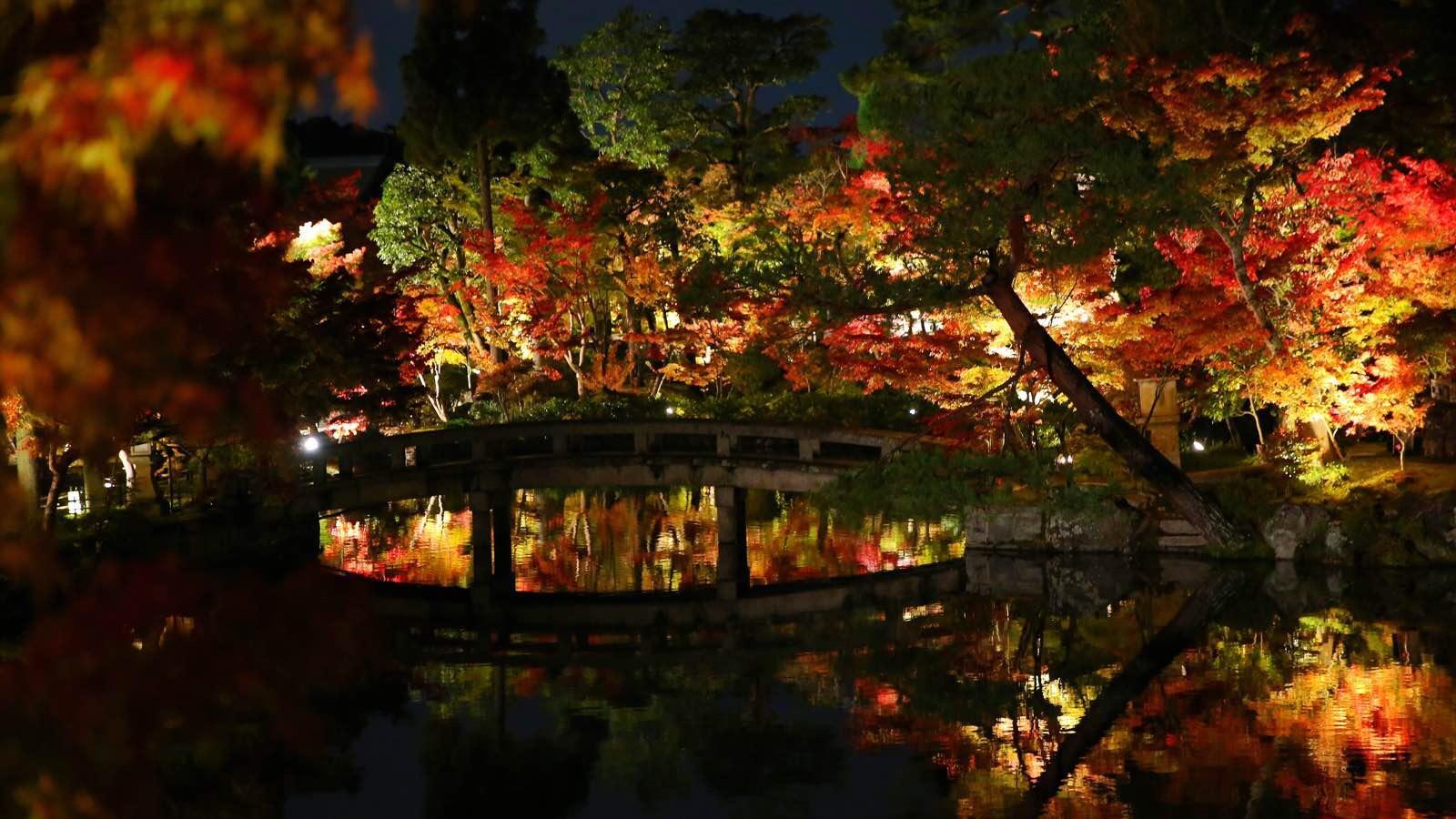 关西温泉六日游,大阪关西机场温泉