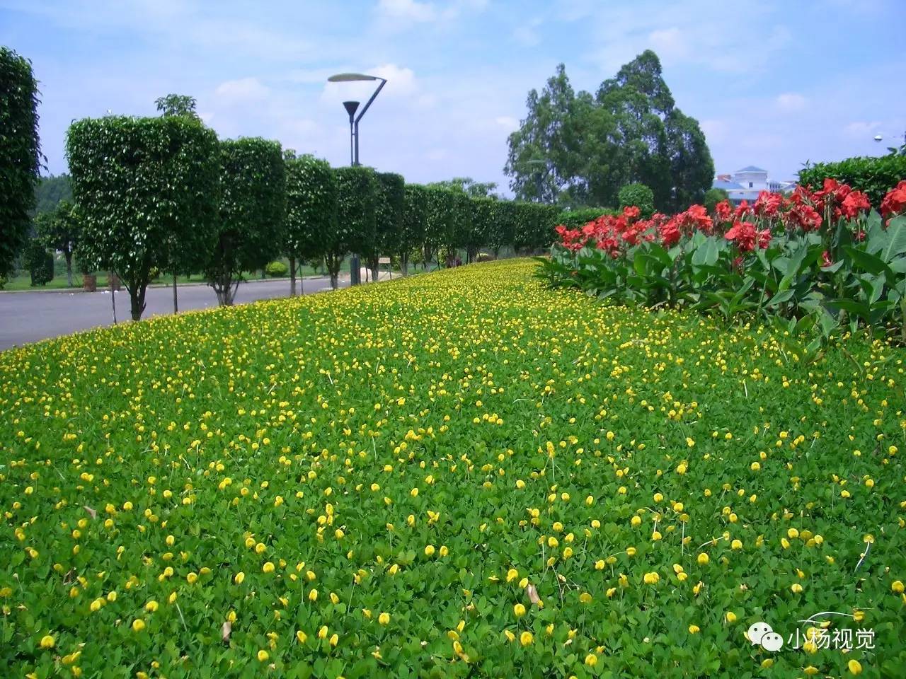 新旧老照片对比人物,新旧照片对比视频
