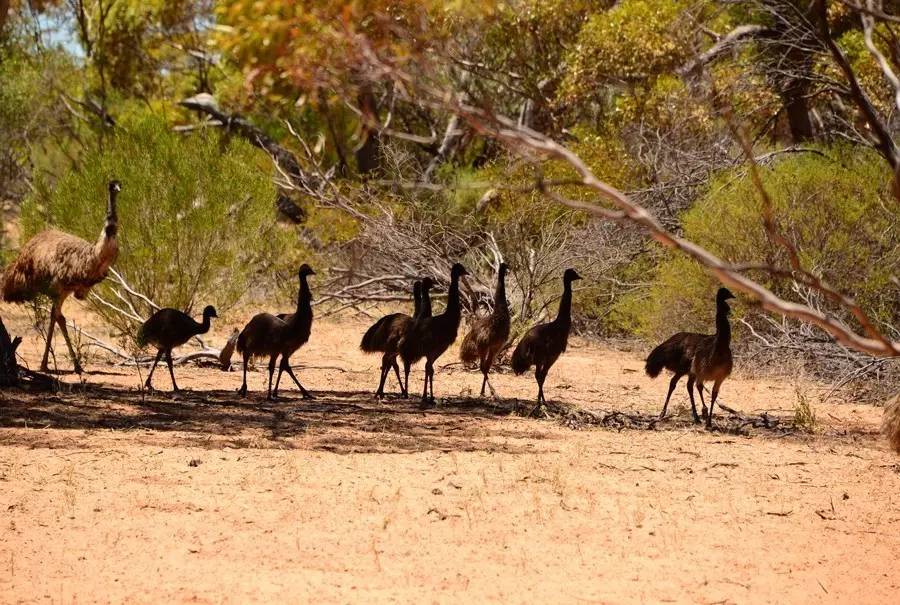 中国最孤独的酒店,世界最孤独的酒店安缦