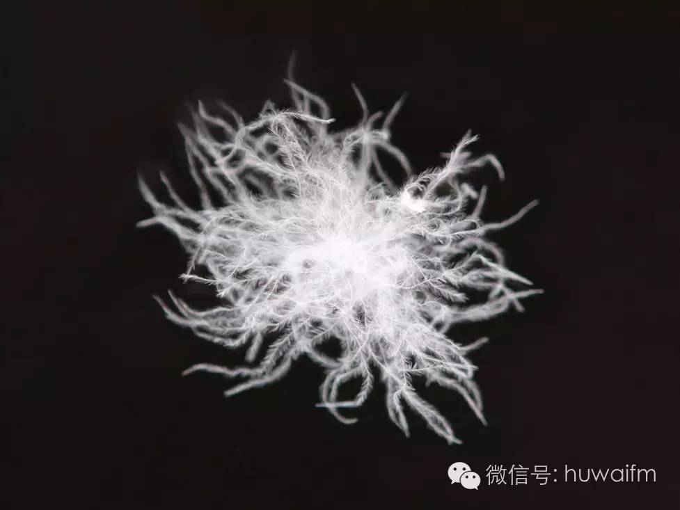 低价羽绒服的猫腻,100多块羽绒服猫腻