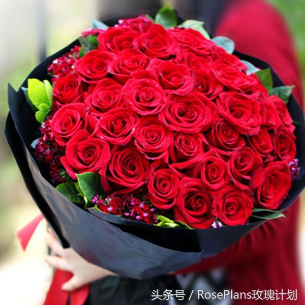 鲜花花语大全送花的讲究,花语及送花常识