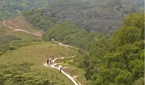 香港四大郊野徒步路线,香港太平山徒步线路