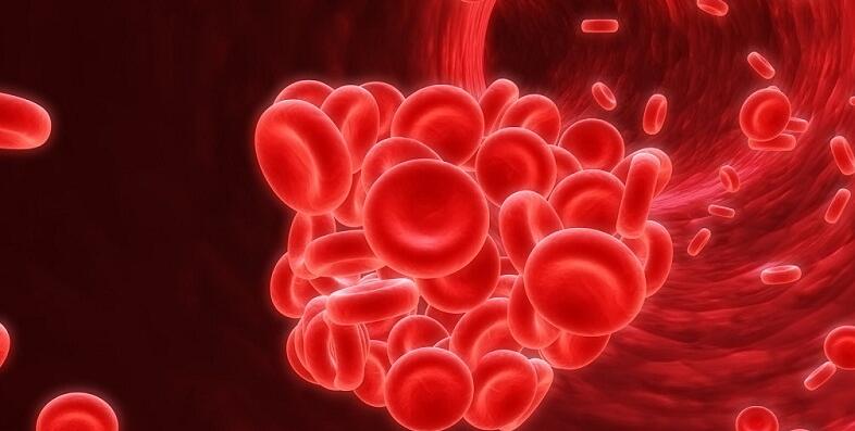 吃左旋肉碱真的有效果吗,左旋肉碱有科技含量吗