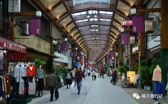 樱花旅行记全集视频,日本樱花7日游攻略大全