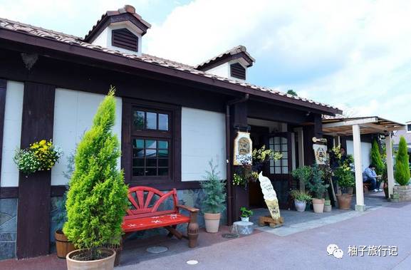 樱花旅行记全集视频,樱花季日本14天旅游攻略