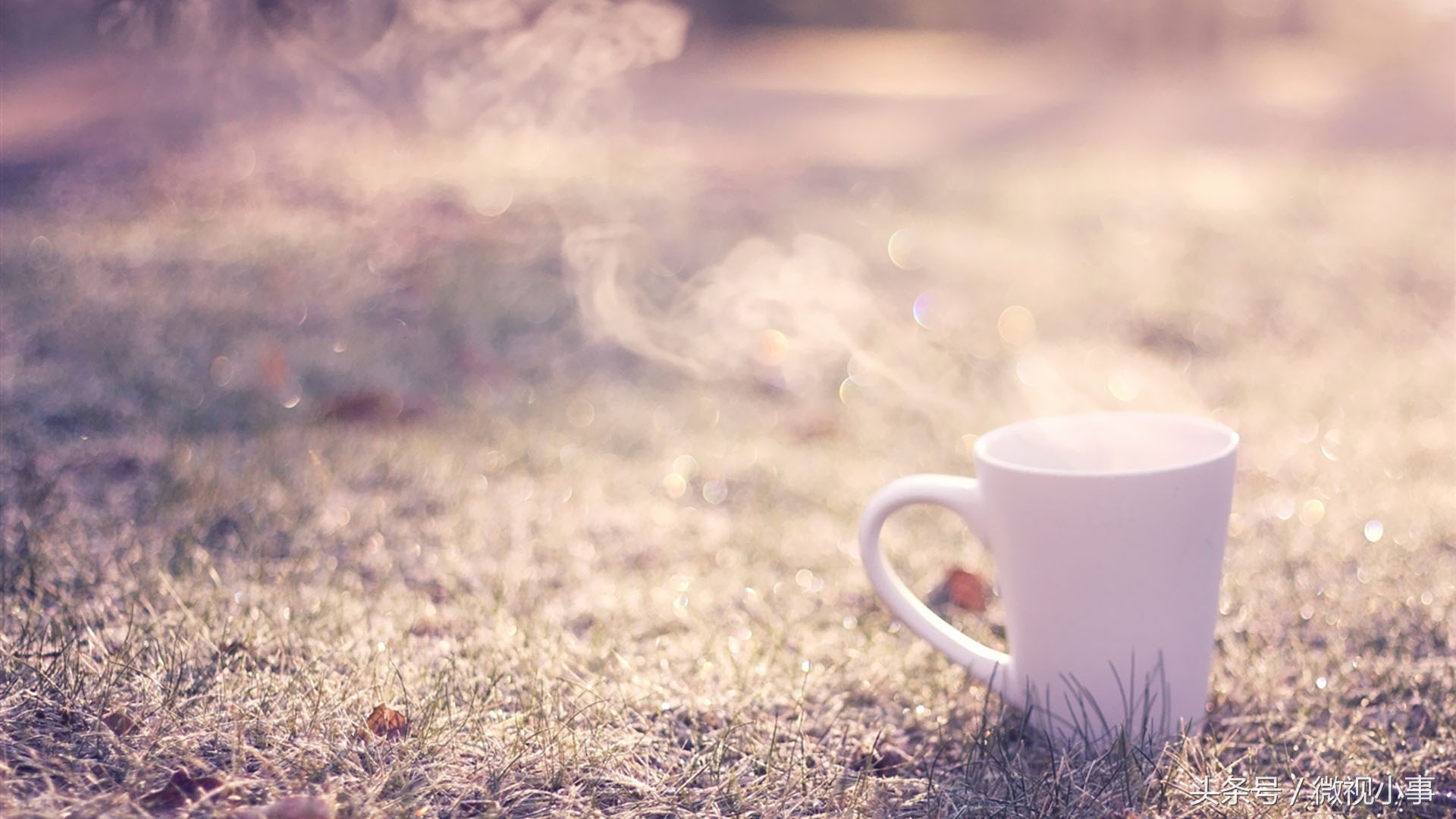 大学里面哪些机会对我们很重要,在大学你应该注意的事