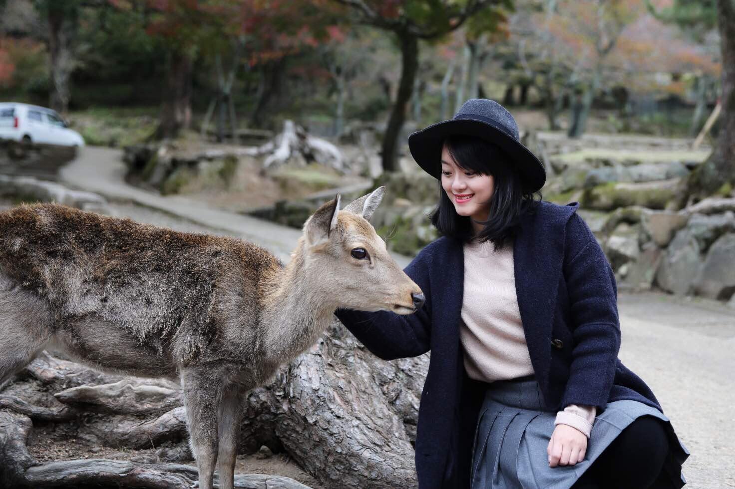 关西温泉六日游,大阪关西机场温泉