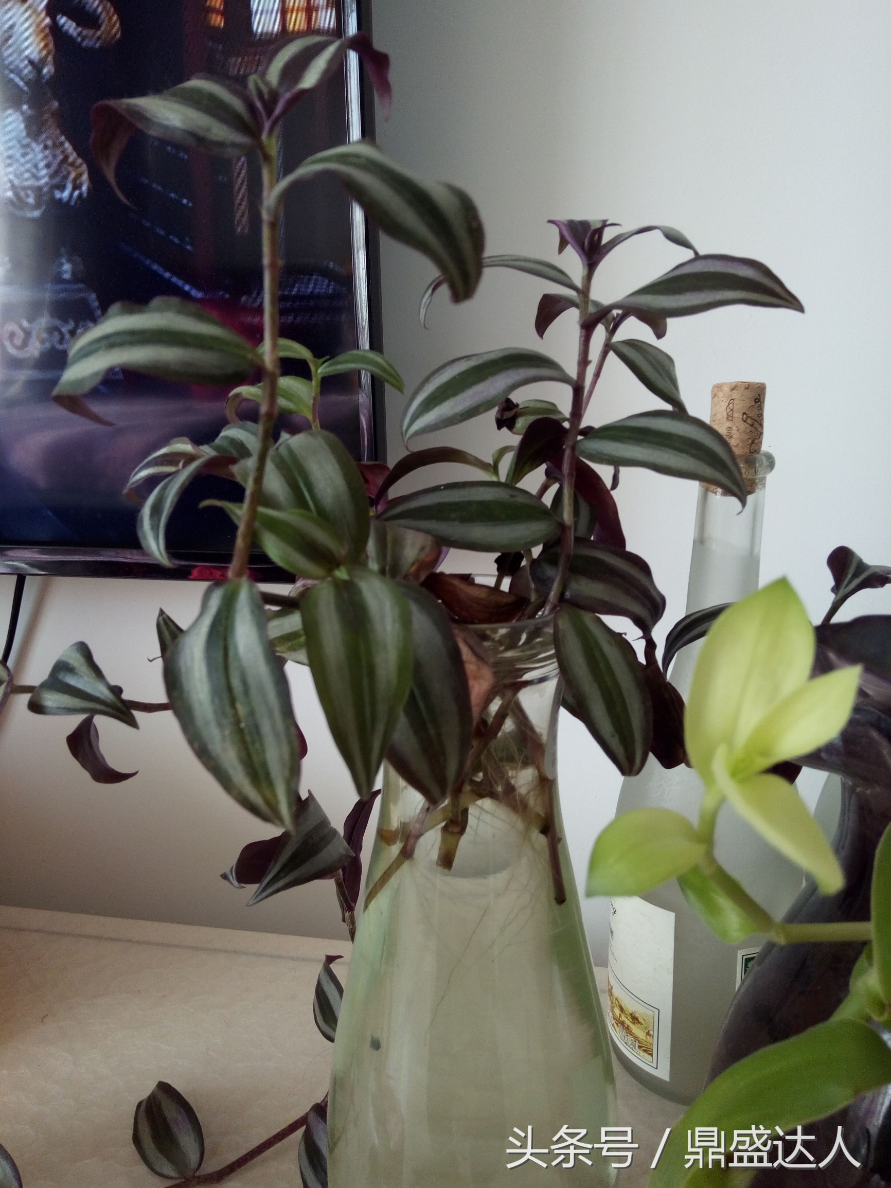 北方的冬天歌曲,北方的冬天原唱