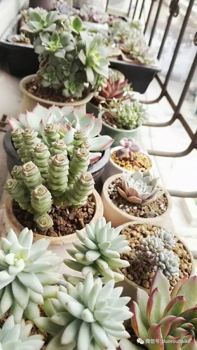 美好的时光带来快乐,美好的时光伴随着我