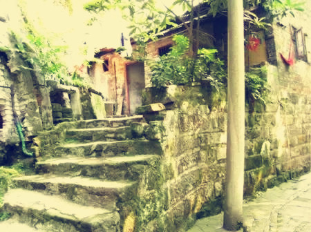 旅游游记到农村01：去看姑婆，农村的小植物治好了我的鼻炎