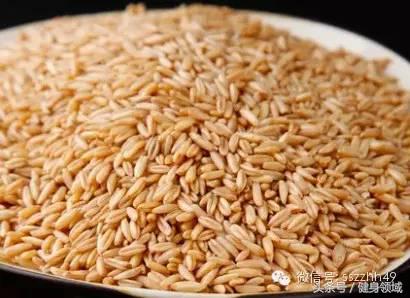 健身快速增肌的食物有哪些,健身蛋白质含量高的食物有哪些