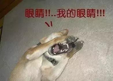 把风油精滴在眼睛里会疼吗,把风油精擦在眼眸上