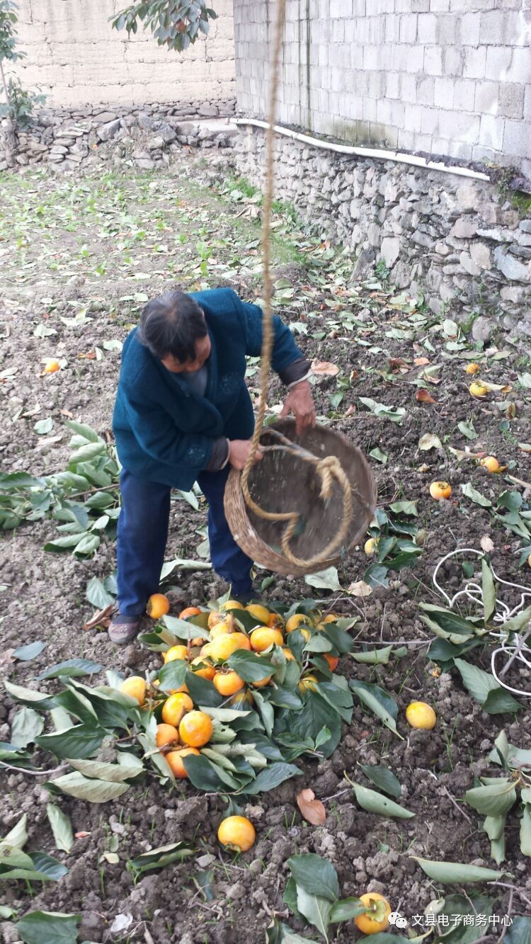 文县贾昌一个“胖子”变”瘦子“的过程