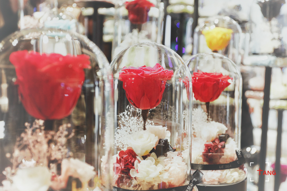 圣诞澳门攻略,圣诞去澳门