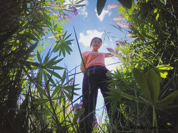 四川夫妻自改房车旅行,成都妹子环游世界