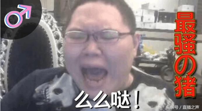 盘点骚猪PDD那些鬼畜搞笑视频！