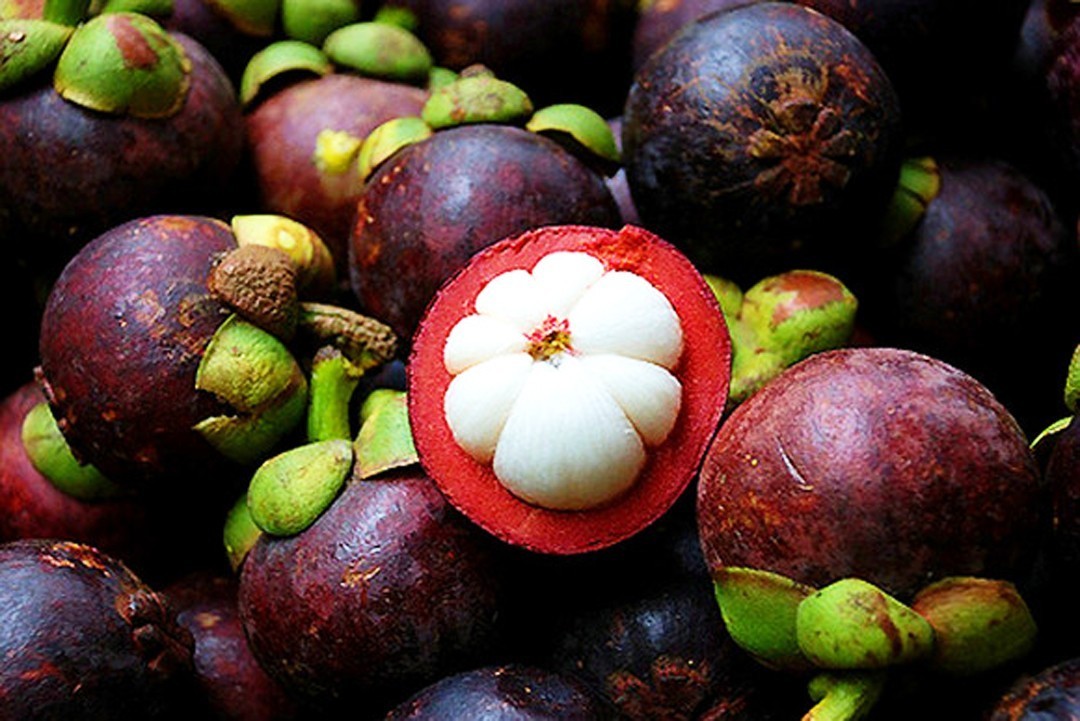 正品进口食品中国代理商,国产进口食品批发商进货渠道