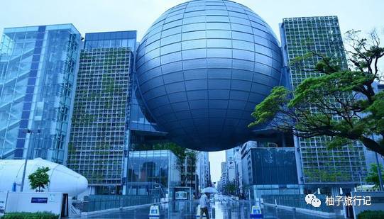 樱花旅行记全集视频,日本樱花7日游攻略大全