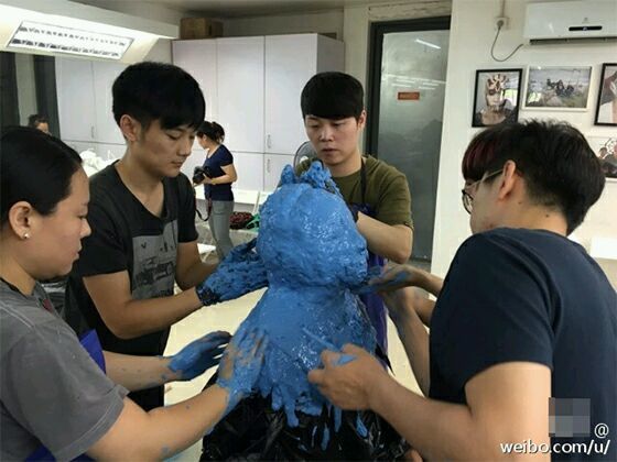 明星倒模是什么,明星做倒模