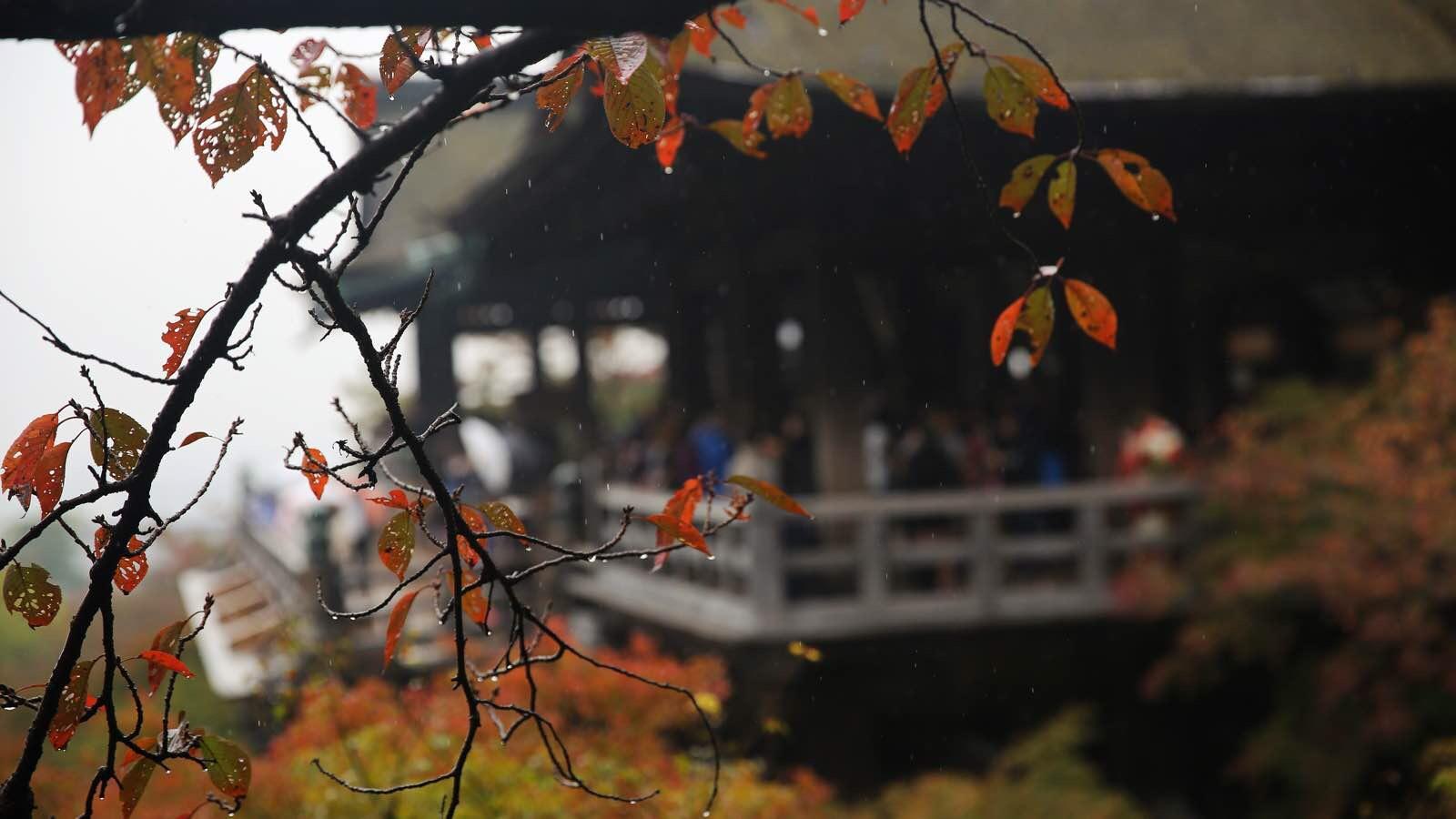 关西温泉六日游,大阪关西机场温泉