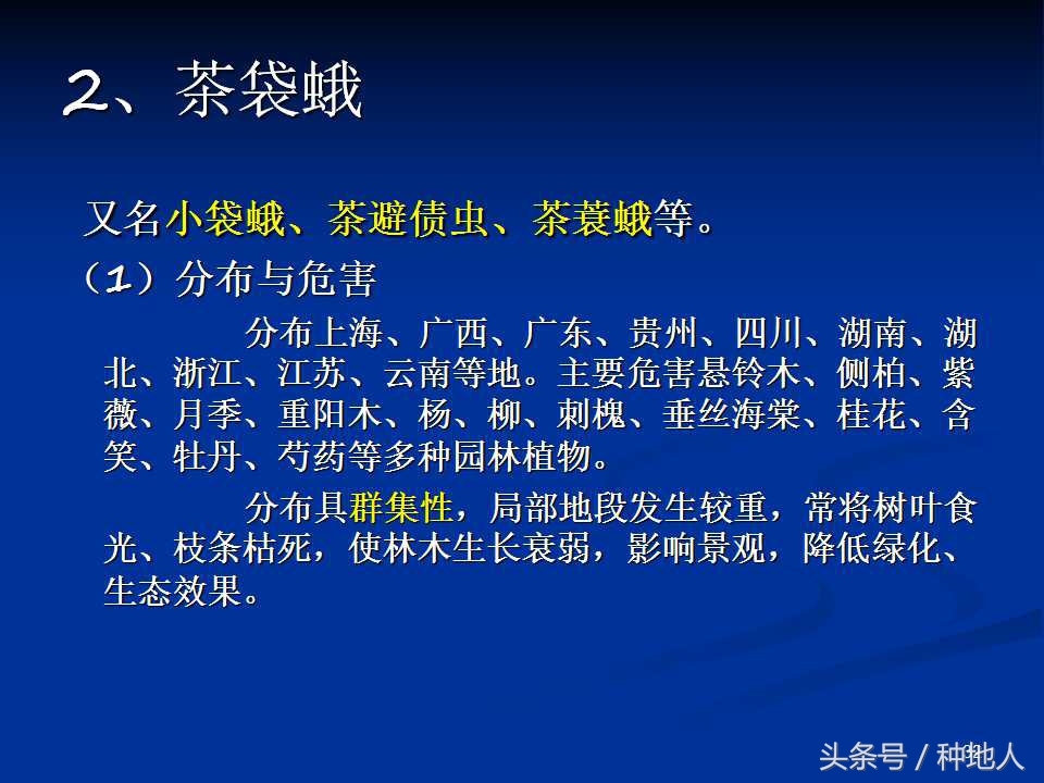 会吃叶子的虫子有哪些,哪些虫子爱吃树叶虫