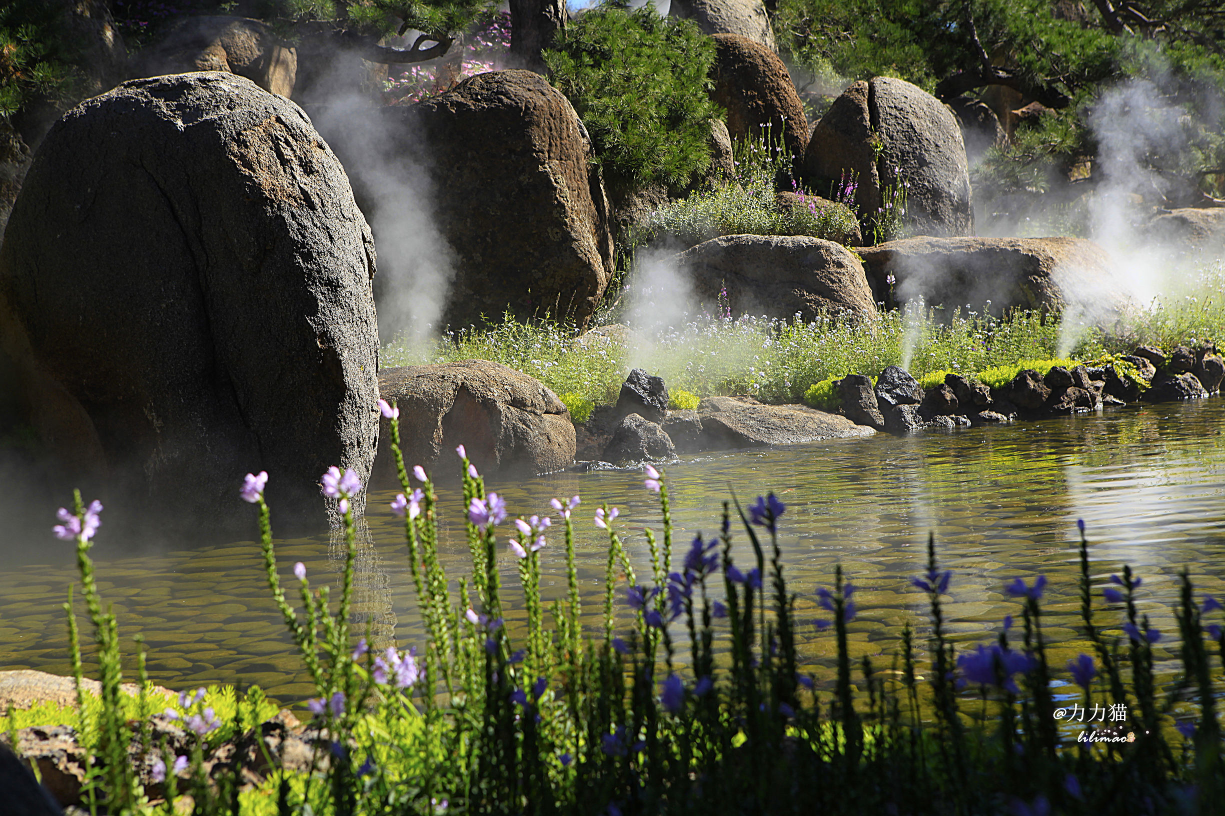 罗红摄影艺术馆蛋糕价格,罗红艺术馆黑天鹅蛋糕