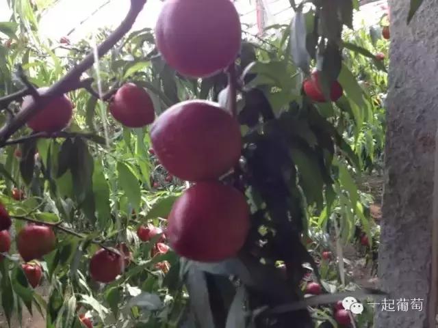 当扶贫遇上互联网,当统战工作遇上互联网