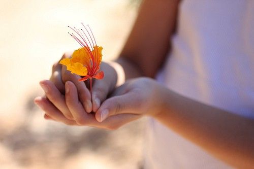 便秘的中医辨证分型及食疗方案（第七讲）：肝经受寒，大肠失司