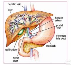 手术过后引流管流出来黄色液体,引流管流出来的胆汁颜色变淡了