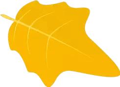 门牙又宽又疏怎么办,门牙牙缝宽怎么矫正