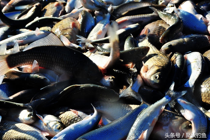 克什克腾达里湖,赤峰市克什克腾达里湖