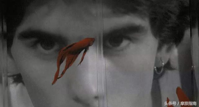 你骑车的样子真美,你骑车时的样子