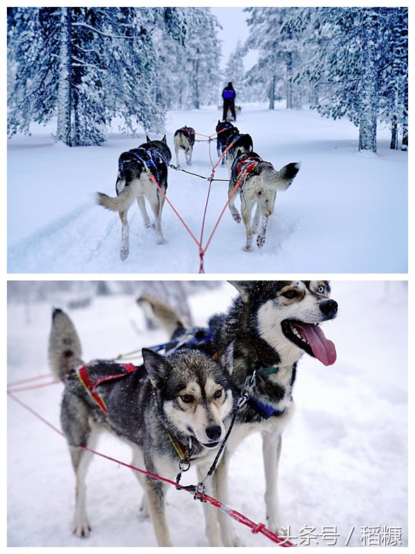 极夜与极昼芬兰,极夜芬兰