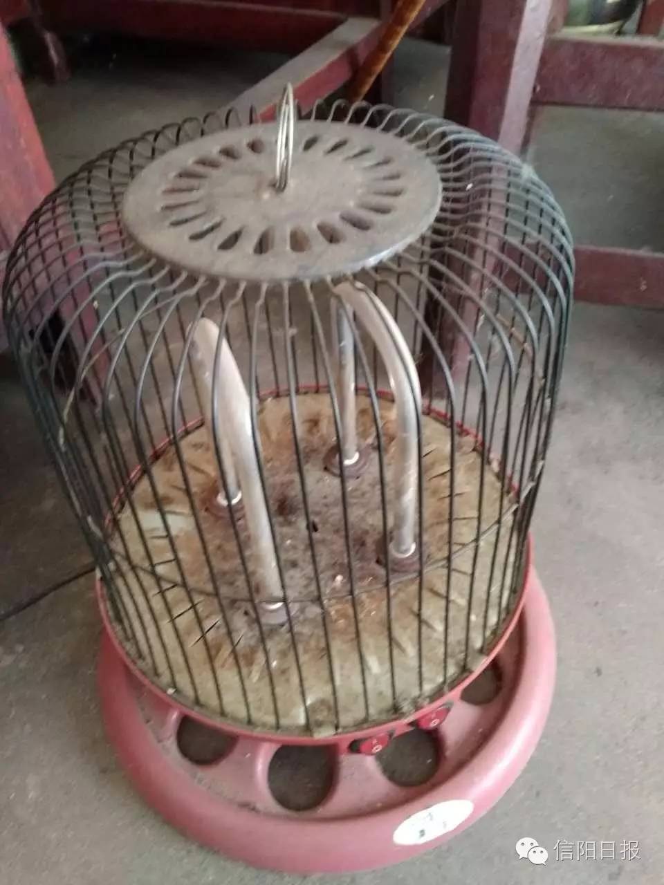 「关注」追忆许光（三）：闪闪红星传万代——这位老人给自己定下了“*不五**”原则