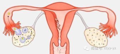 「分娩前后」头胎剖二胎想顺？看看您符合条件吗？