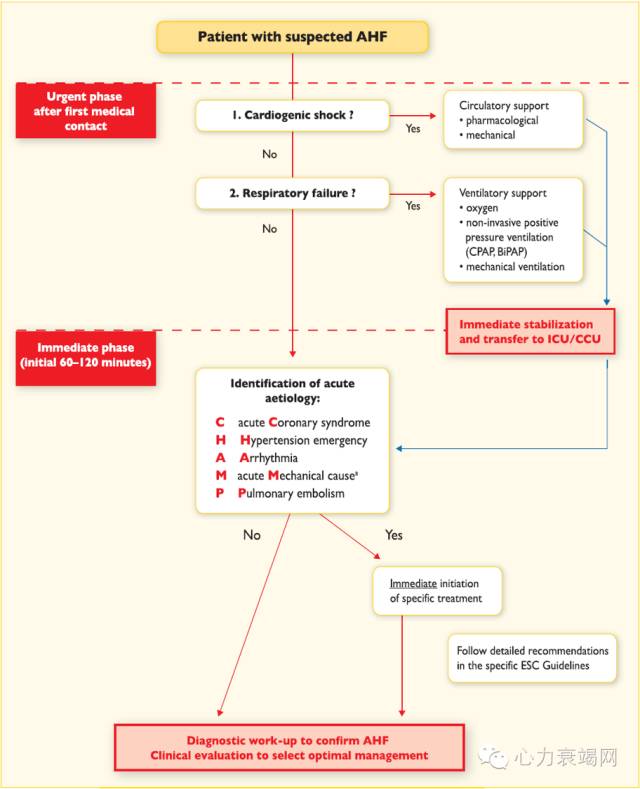 阜外张健心衰,心衰专家张健