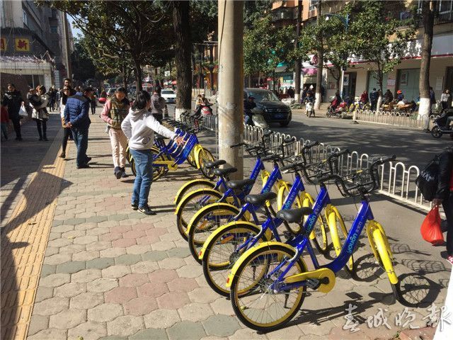 昆明路边扫码租汽车是什么软件,昆明扫码电动车需要押金吗