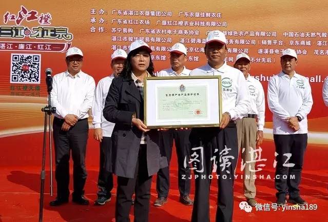 红江橙鲜果价格,红江橙2020价格