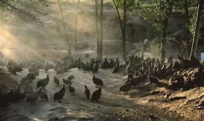 西吉电商创业,西吉扶贫产业园