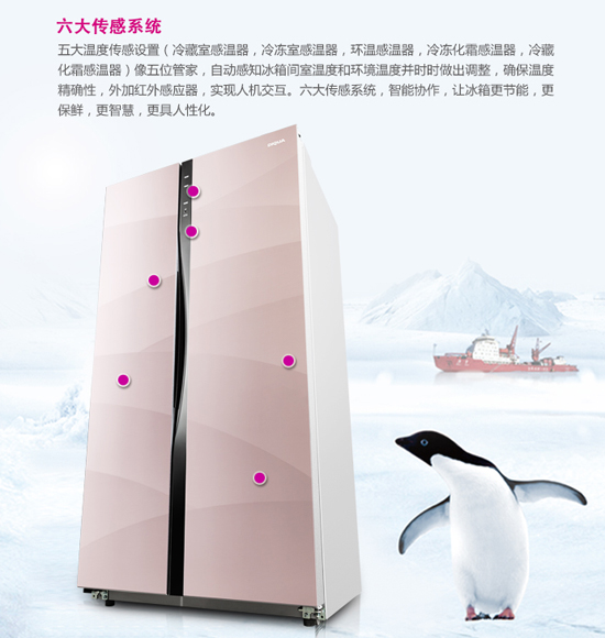 缔造鲜美境界尽在帝度大鲜系列健康冰箱