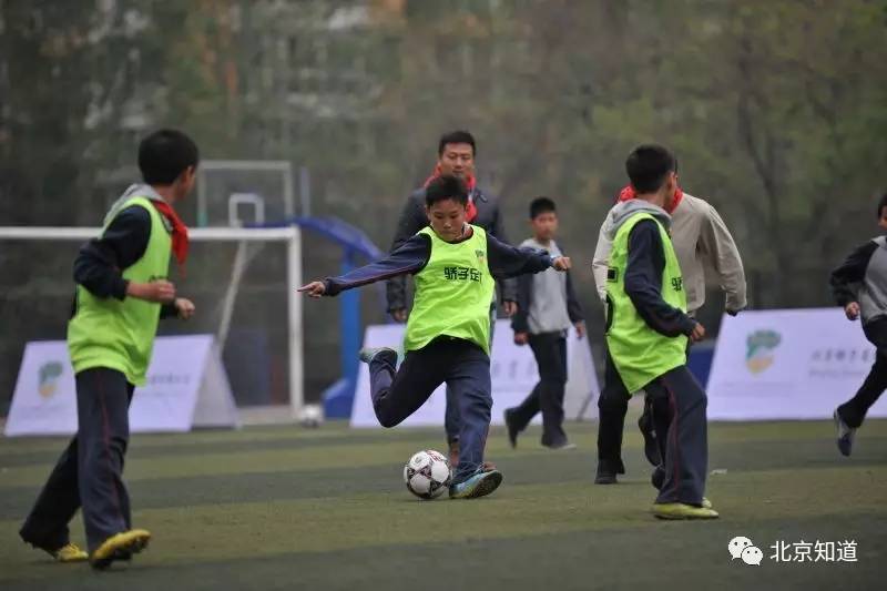 前男足国青队主帅踢球,前国脚有哪些