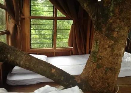 拜县这8家特色度假村,看完以后只想马上出发!