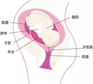 怀孕初期症状阴道出血怎么办,怀孕初期下体出血怎么办