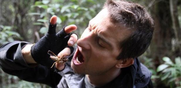 这是一个关于一群华人富婆,到澳洲买苦吃的故事