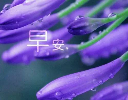 早安问候语给女生幽默,早安问候语幽默风趣句子