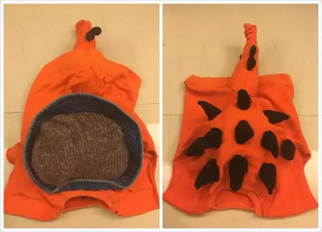 恐龙迷们的生日祝福，宫西达也爷爷收到啦｜感恩·开奖