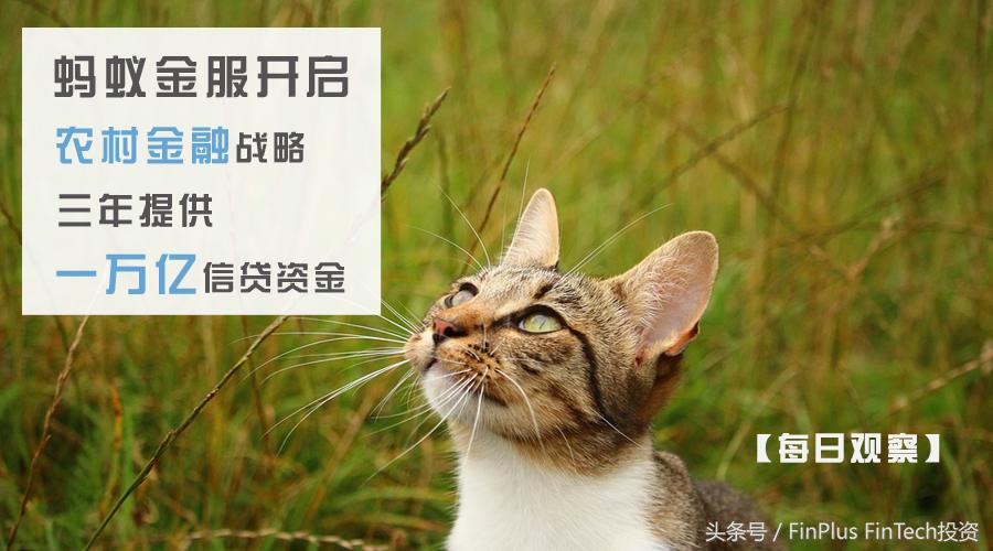 蚂蚁金服小微企业贷款额度,蚂蚁金服贷款模式