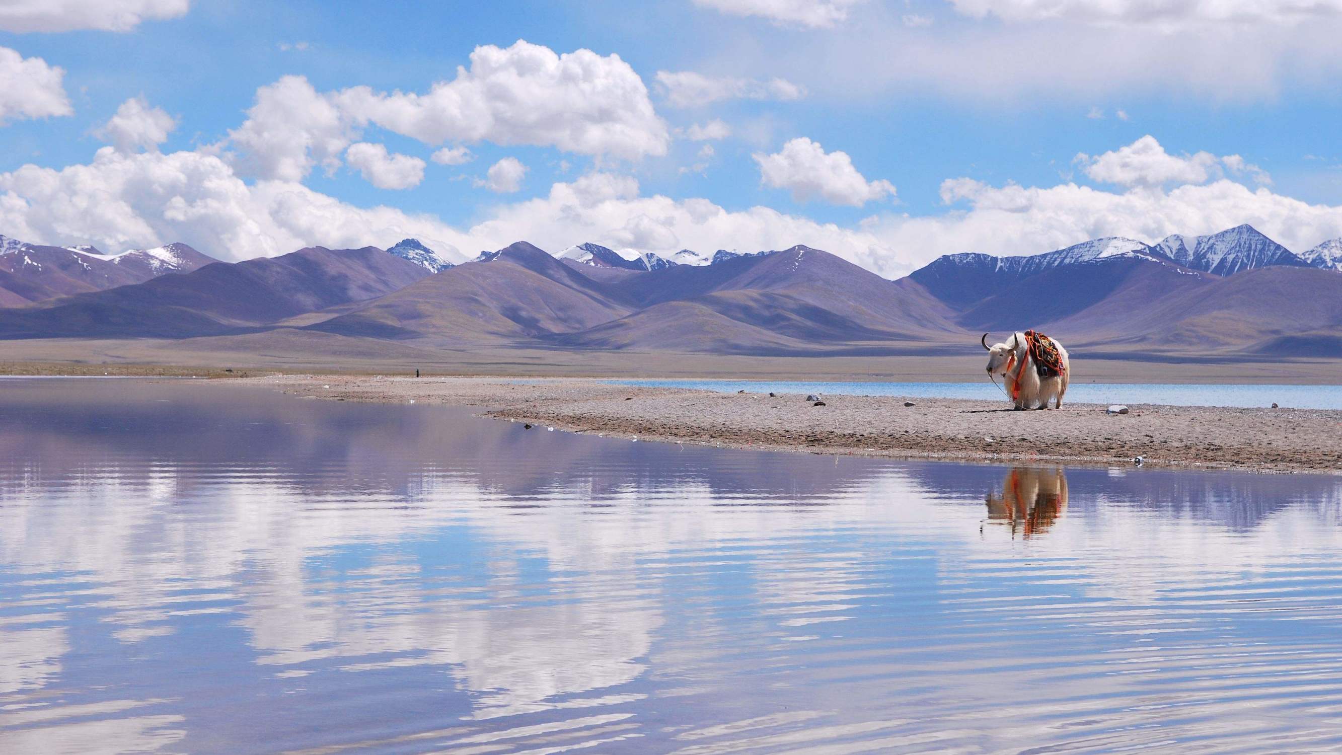 旅游拍照手机哪个好用,出国旅游如何携带手机